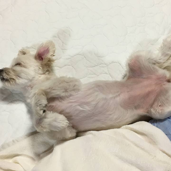 445f52da a984 4bc7 99c3 5e9d927e9a85