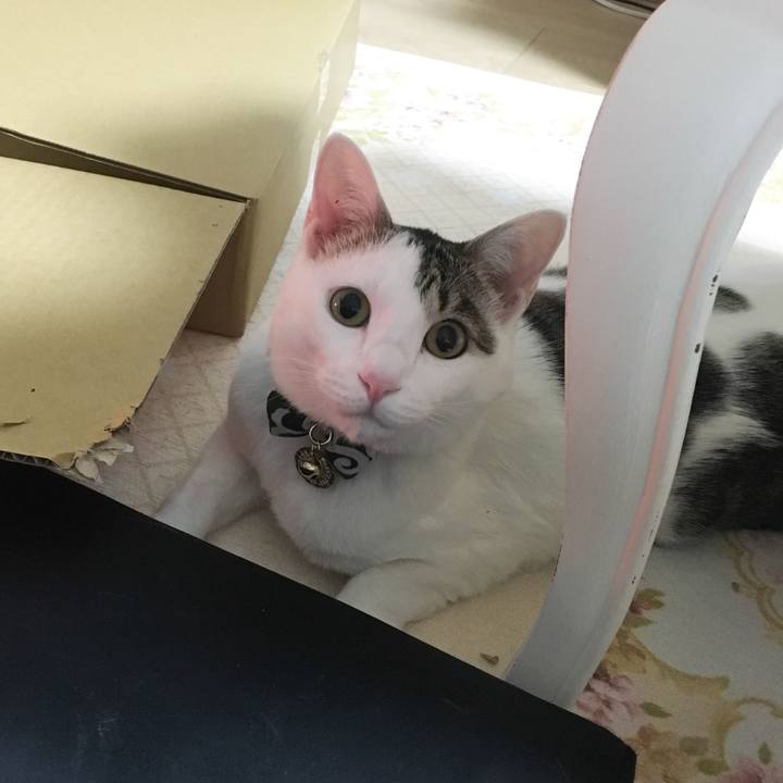 445fa116 75ad 43a4 9c07 d5bc9575a661