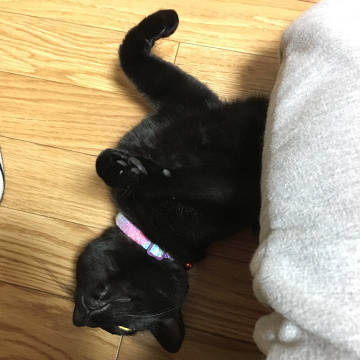 4460d5b4 db39 4f9d aa90 996779a1aec5