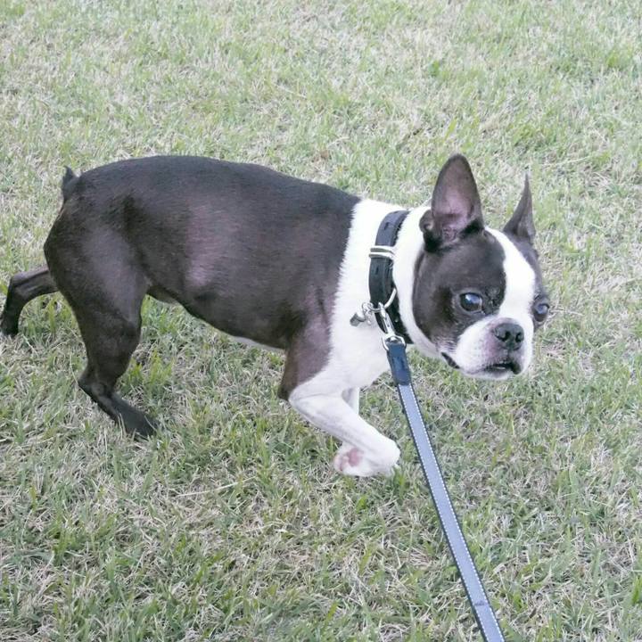 4460f685 b337 4d9a b055 3654fbd1f974