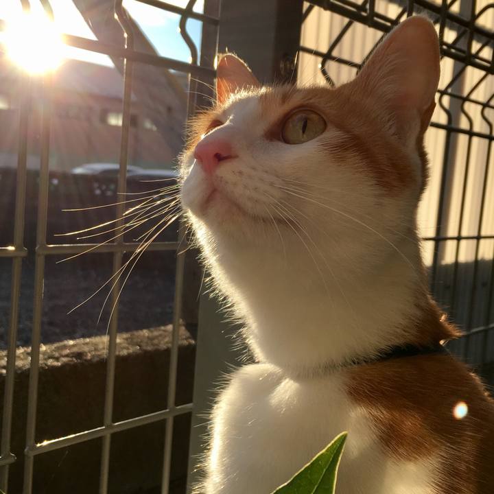 4460fb3a f2bb 4c8e acf9 5a07b4526770