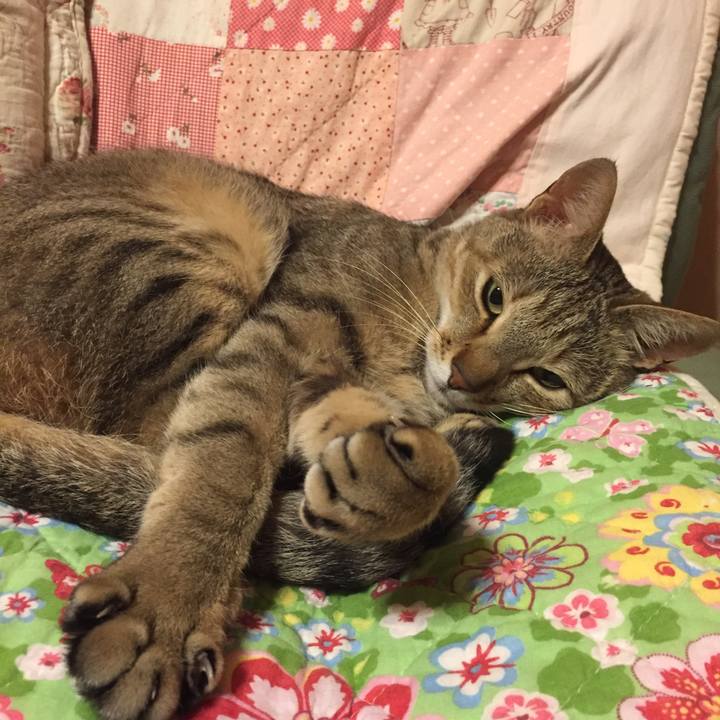 446135a0 0dcb 4028 9683 031b84e7e8cf