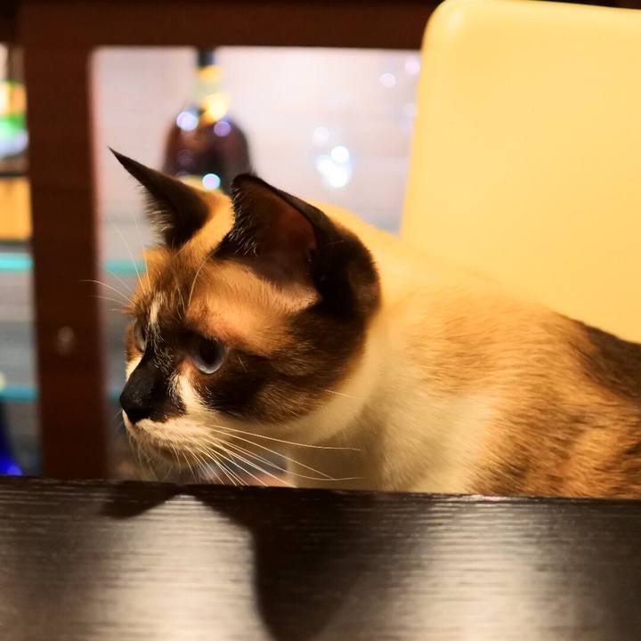 4462e3ad 0875 4765 9f96 6f80f5dd33fa