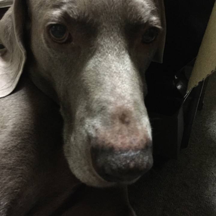 4463e34c d6e2 476b 82a1 60de4a55c17b