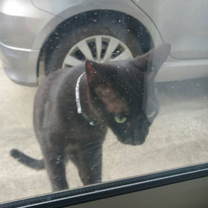 446419d0 4240 4fa4 893a 9e748b679bc9