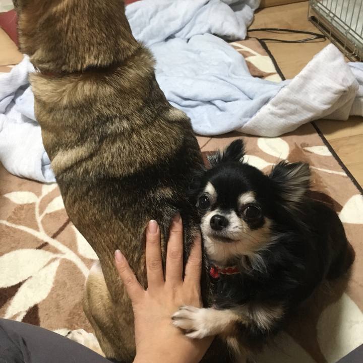 44641f3a d132 4da7 9d26 b19bb82b9488