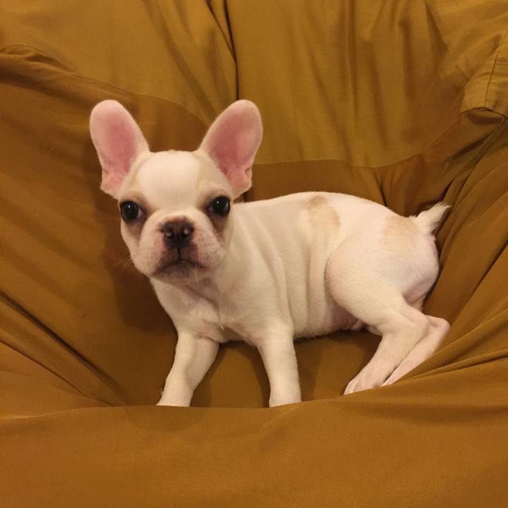 44645b31 552c 4226 8b57 a7565c751ef4