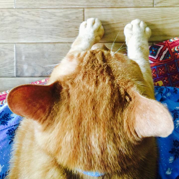 44646769 51a0 4c2d 9059 d59b22bccdba