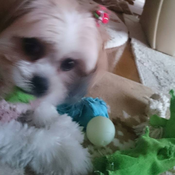 44648358 cf4e 4aea 9177 4860cdf5f099