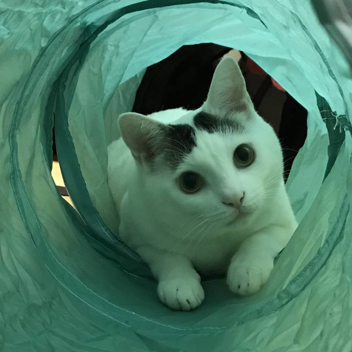 4464abfa eb8d 4431 9a5a 0c44dd429f25