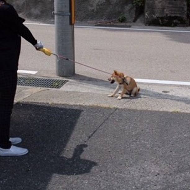 4464ce4a 328e 45f5 bc61 64fc23ba9029