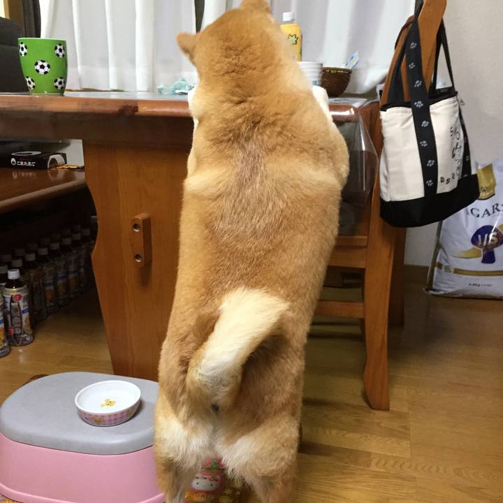 44655897 c1eb 4d25 ae5e f7702caef239