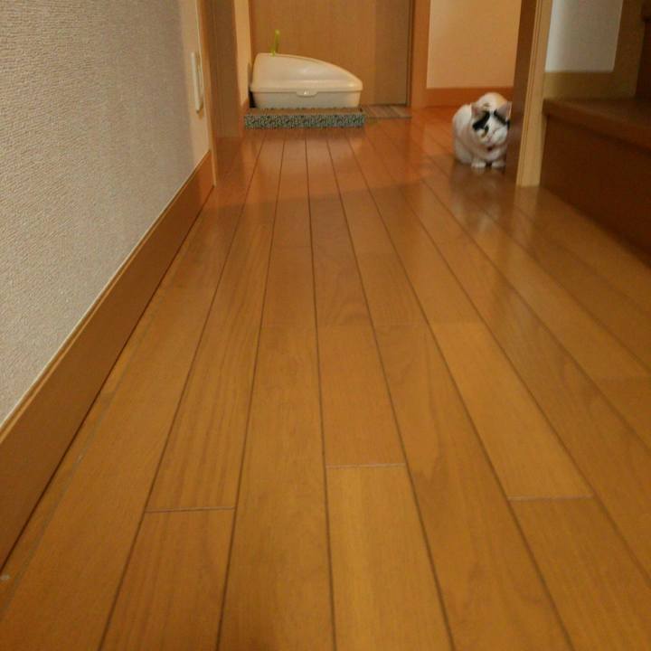 446636ff 4b2e 44c9 af85 5bd0cea33176