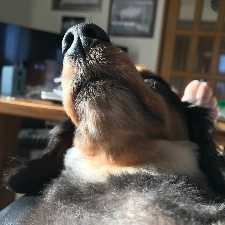 44666768 a0dd 4140 b30f caf7a01ae696