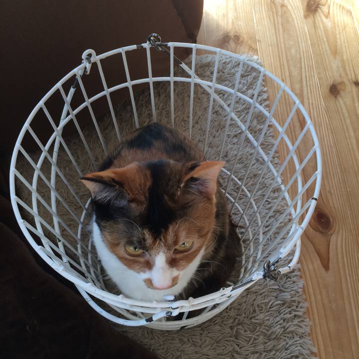 44668d4b 99af 4fd5 a32a d558b984b533