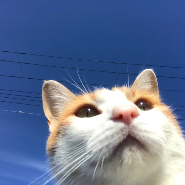 44676dd4 c6f0 444c b0a7 7f59fbae8128