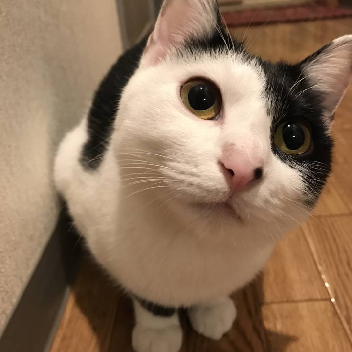 446834a9 e465 436d ae35 9a61dce88881