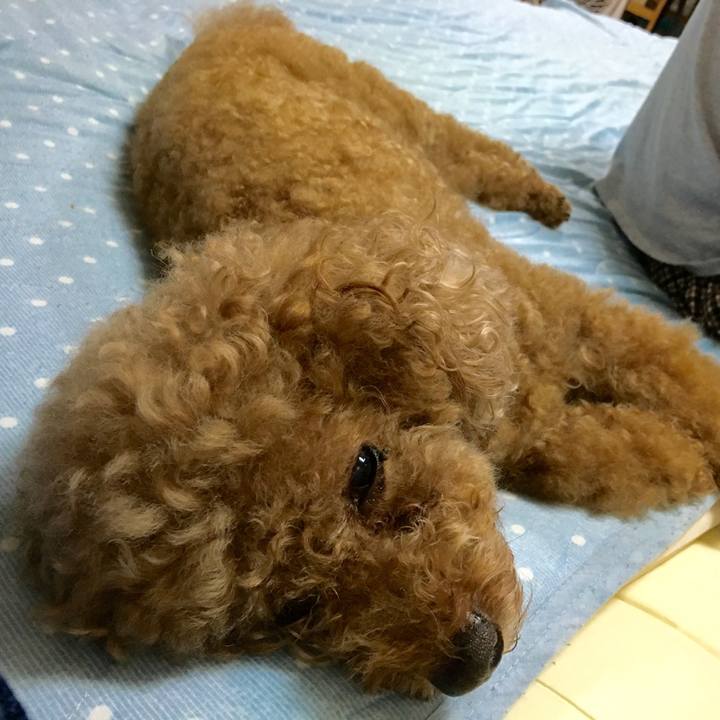 44685d1c 2418 4f03 9307 ffca48d207c5