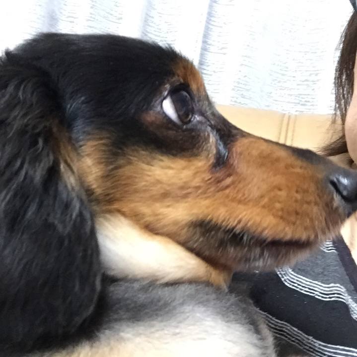 44691263 6885 4e8f 8a72 c178a9bc2684