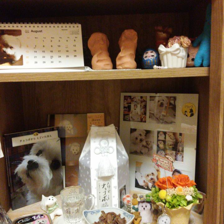 44691490 17e8 41cb 9b86 631dd766d89c