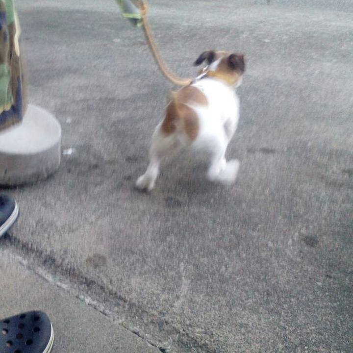 446945cb bd10 4529 a85b 1cd29fdf96d4