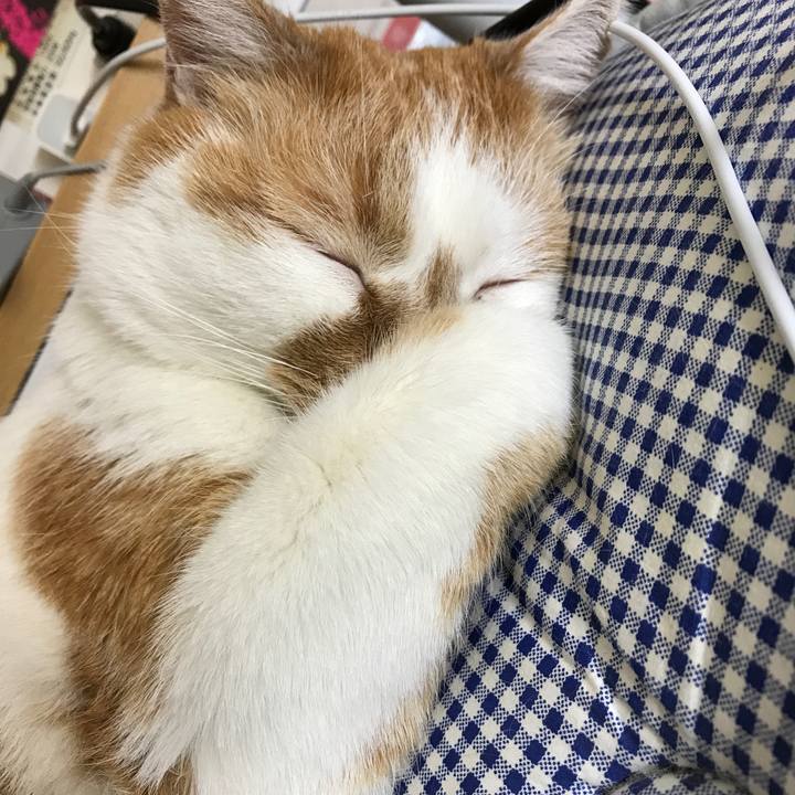 44696a92 7bb8 4aa0 83e9 8103aa3a7e41