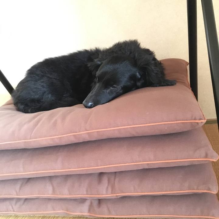 4469e389 463a 4c19 91ee def58c23eaa5