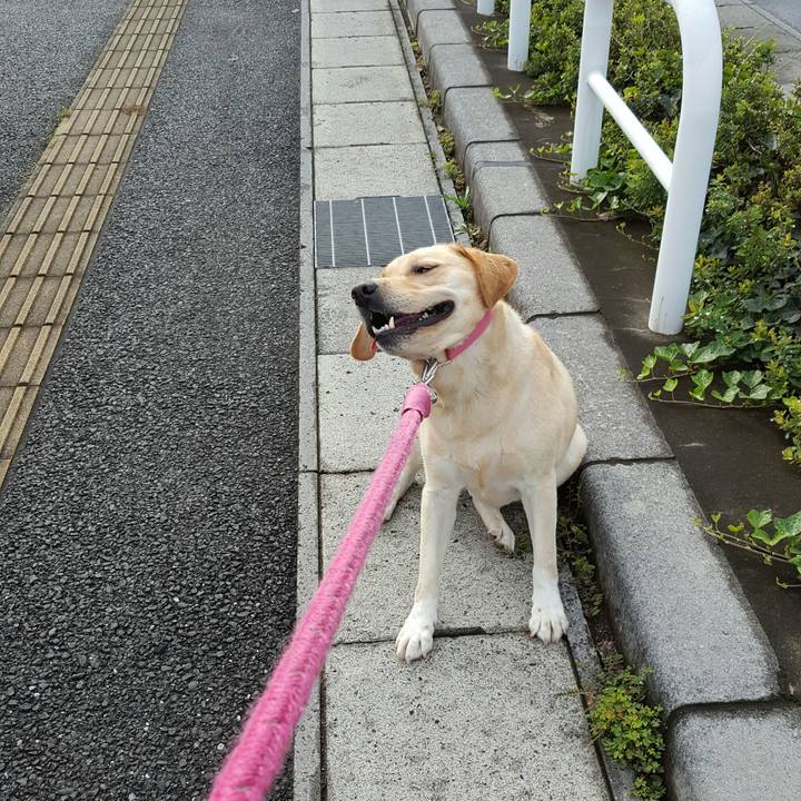 446a035e 6952 4dd9 a2b8 d59c0f360a7e