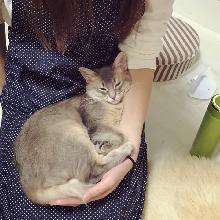 446b110c 0f8f 4140 af42 4a9f16fdce09