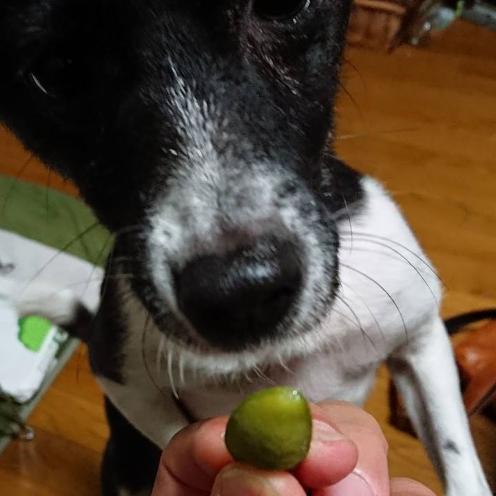 446b19af e8f7 4e61 95a9 500353986473