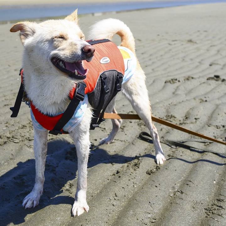 446b2bdd a13b 4f9f 9190 b0f472fb1f5e