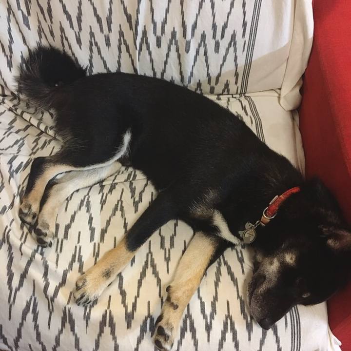 446bbf6c 6c5f 442a a28e ecdb64e31fe7