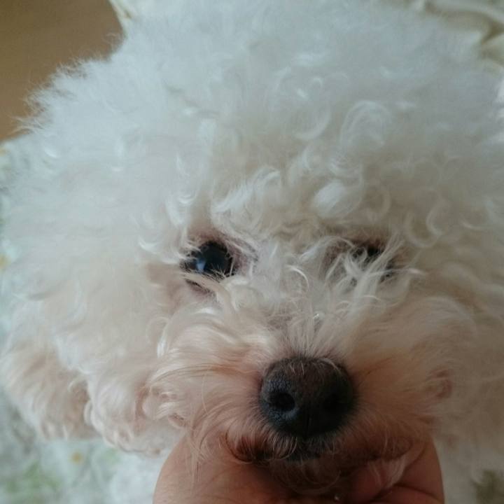 446c145b fddd 47a0 ab0d 71dfc6af9d4c