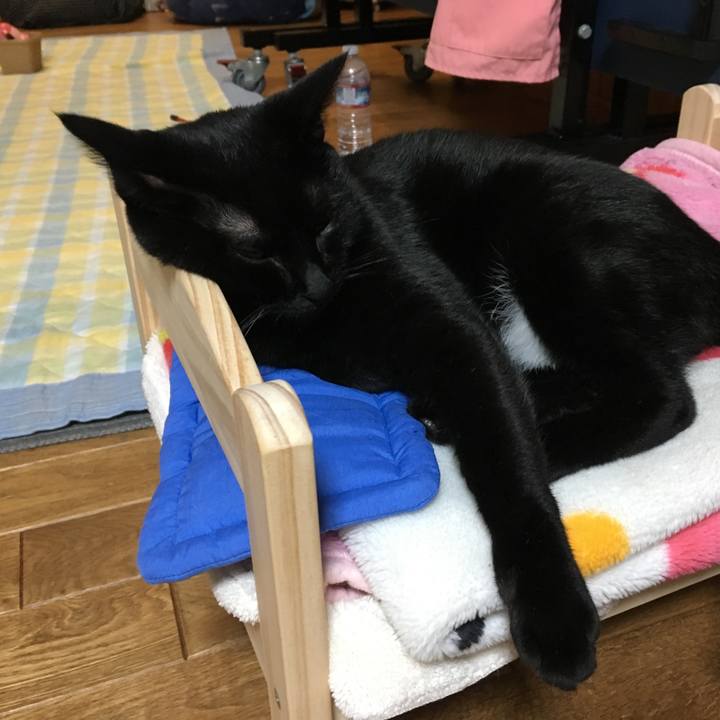 446c3e2f 76fc 4869 95f5 da2d84e3631f