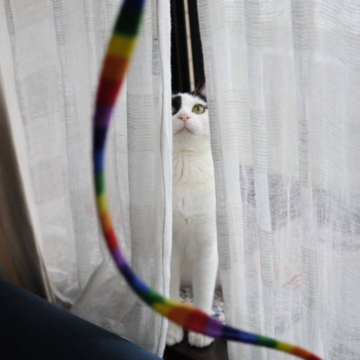 446c58f6 fd4f 427b acac fe9ab709e437