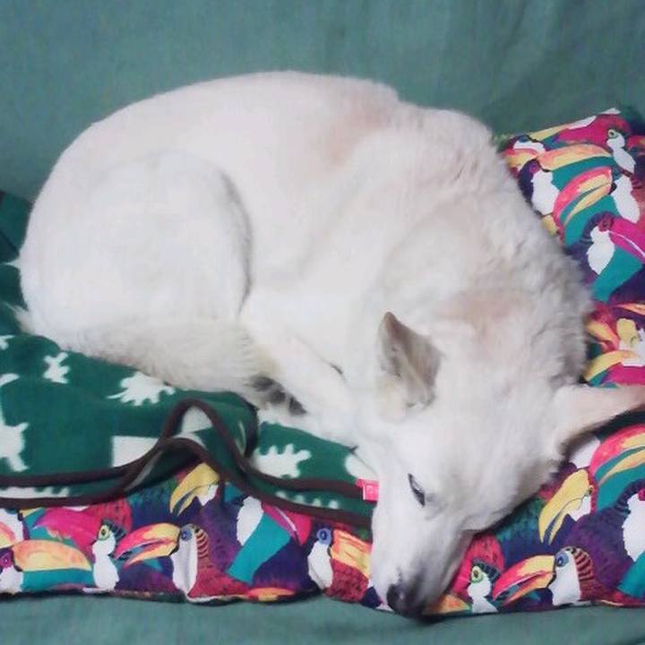 446cdd32 d184 43e1 8663 e4a11027acff