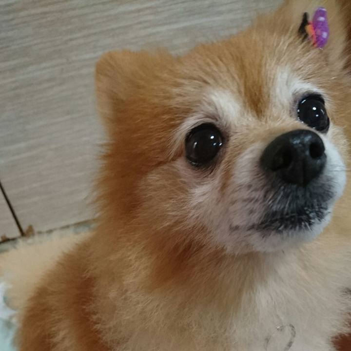 446d2297 5cc2 473a a235 3bd06b651682