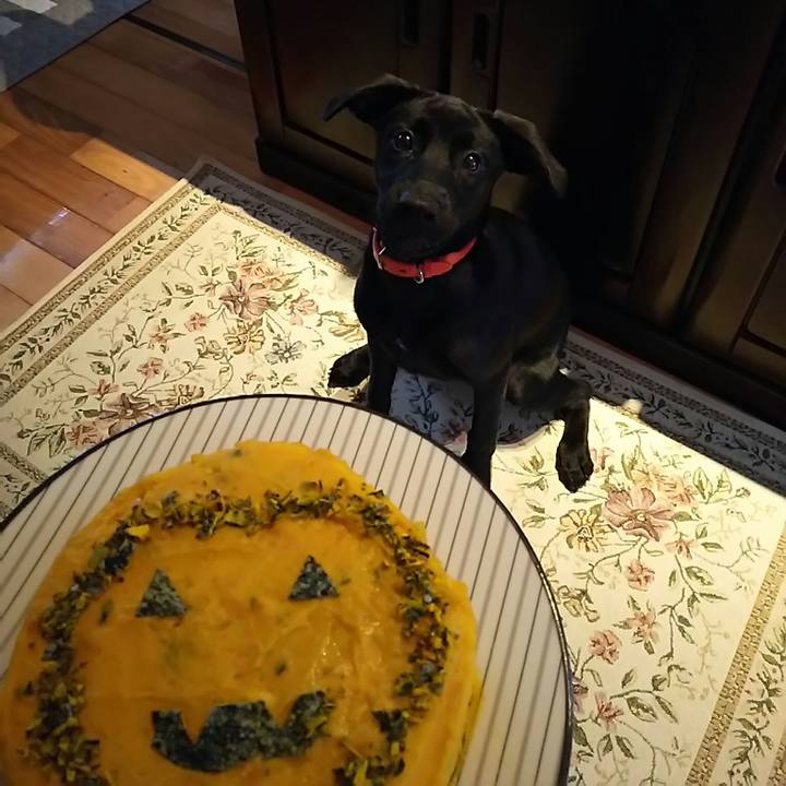 446d4ba9 45aa 4c24 bf30 62c77efb3101