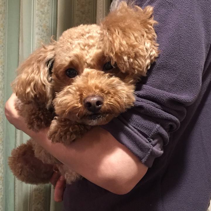 446dbd86 3c5f 498b bb62 255d21f8b59f