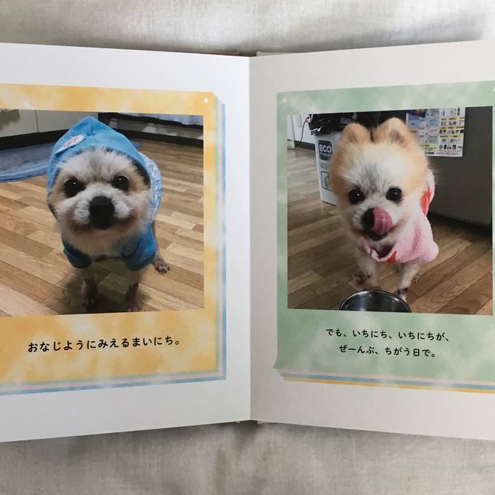 446e13bb 9e46 4b97 981d a42e52a83a0b