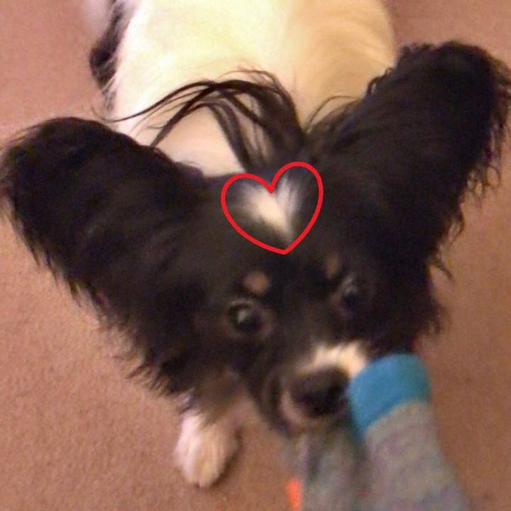 446e927f 556c 408d 8e8c b7010760ab6f