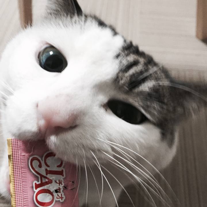 446f8c69 72e3 4794 8f60 b580a8879682