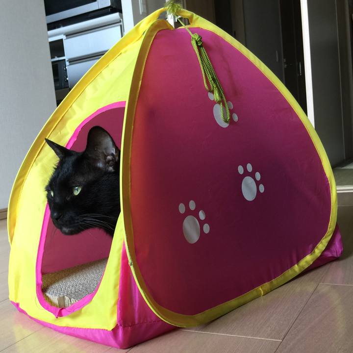 446fd47c ff80 40a0 adb6 536e1c6bec1d