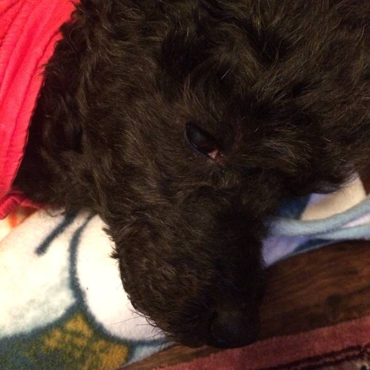 4470fb01 f96e 43a5 9f67 c06f3dcb89b7