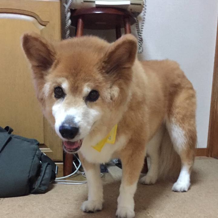 44722484 4e97 4a2c 8659 25cf50484f82