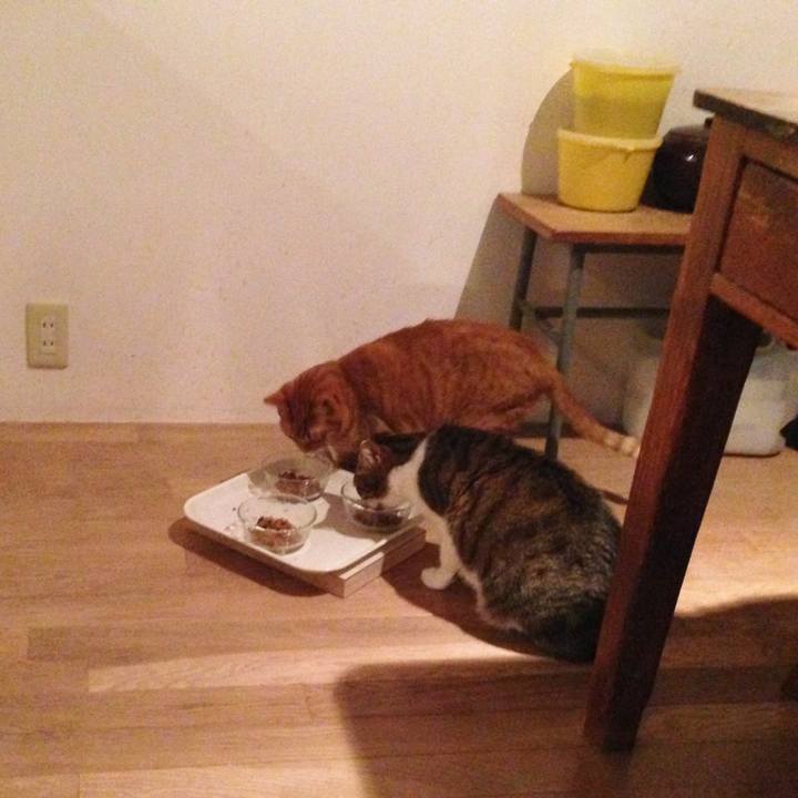 44732c05 5736 45a3 9789 b0111ee0761d