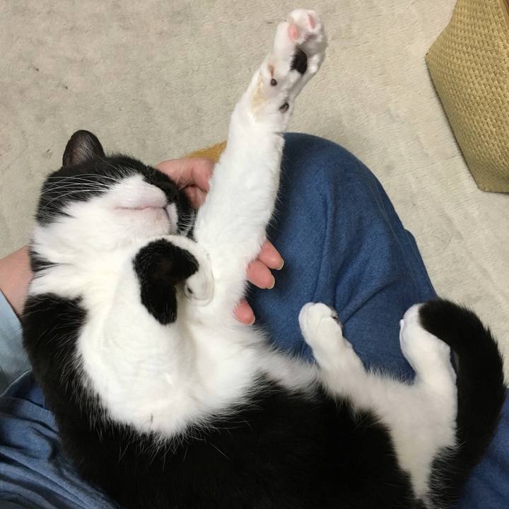 44733c5f 4245 49ea b794 514d9f504b0b