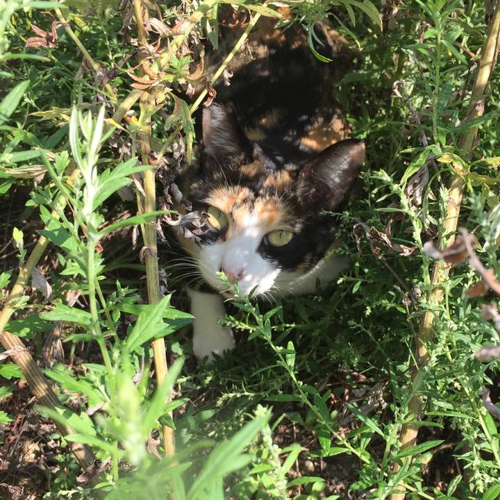 447382c6 1231 4952 8f7c f7d9f5c43a31