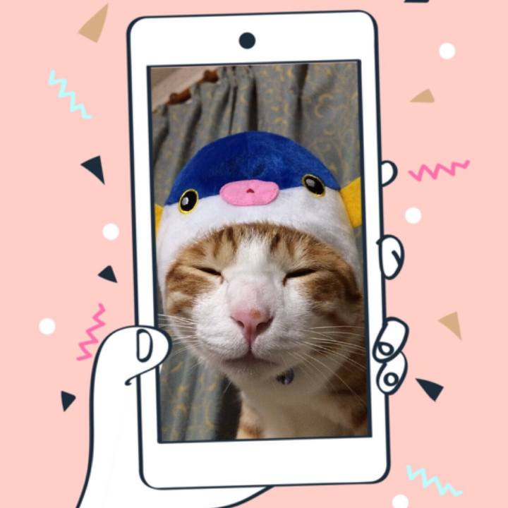 44741d90 1cb3 4883 9f0c 65c37264e8c2