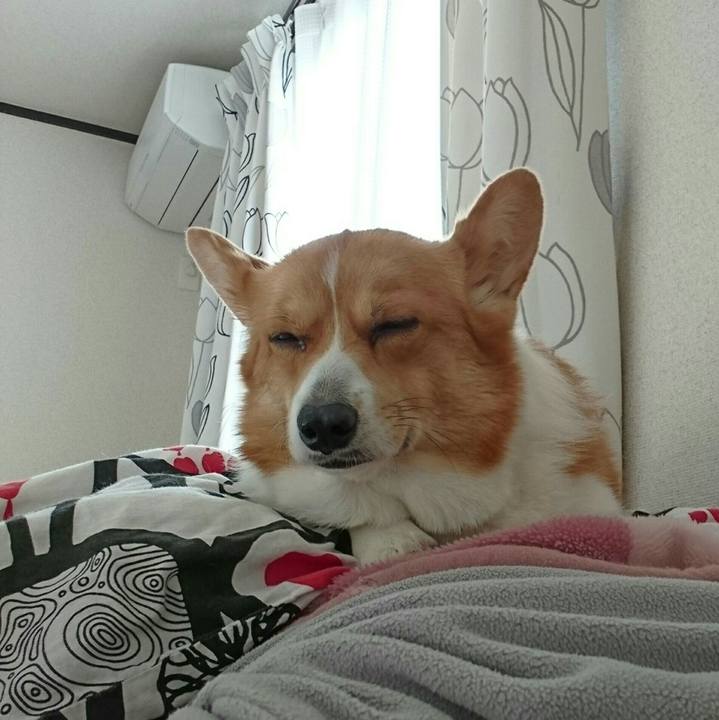 44742579 c642 4cea b014 678b371c0782